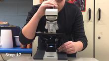 Andi, Carlee, Owen & Camryn on How To Use A Microscope